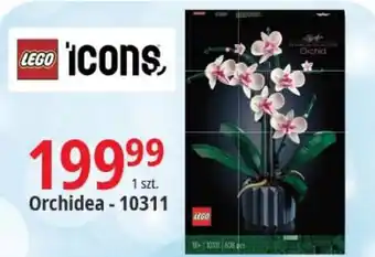E.Leclerc Orchidea - 10311 oferta