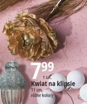 E.Leclerc Kwiat na klipsie oferta