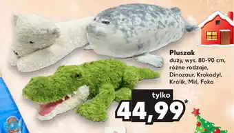 Kaufland Pluszak oferta