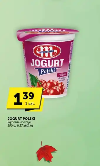 Groszek Jogurt oferta