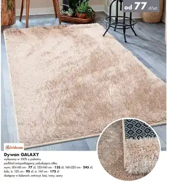 Mrówka Dywan oferta