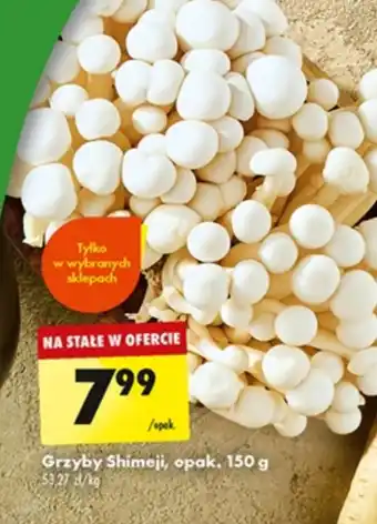 Biedronka Grzyby oferta