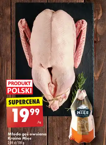 Biedronka Gęś oferta
