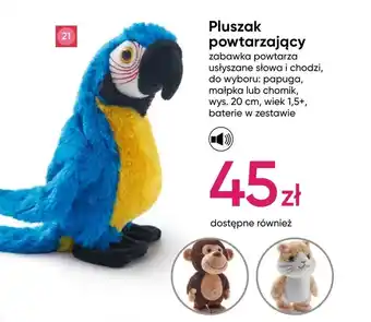 Pepco Pluszak oferta
