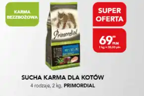AquaelZOO Karma dla kota oferta
