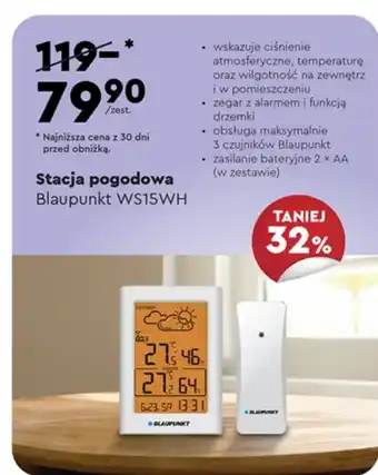 Biedronka Zegar oferta