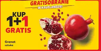Kaufland Granat sztuka oferta