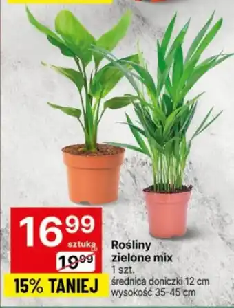 Delikatesy Centrum Rośliny zielone mix 1 szt. oferta