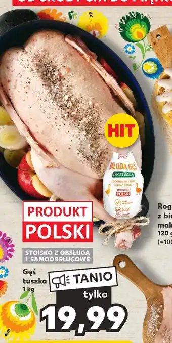 Kaufland Gęś tuszka 1 kg oferta