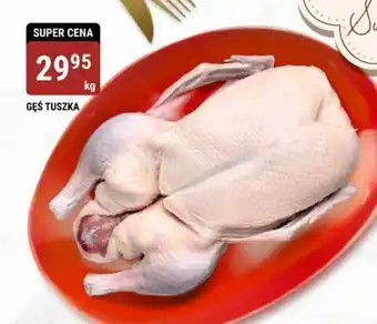 bi1 GĘŚ TUSZKA 1 kg oferta