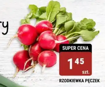 bi1 RZODKIEWKA PĘCZEK oferta
