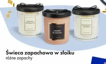 Tedi Świeca zapachowa w słoiku oferta