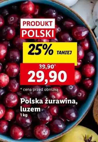 Lidl Polska żurawina, luzem 1 kg oferta