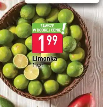 Stokrotka Limonka oferta