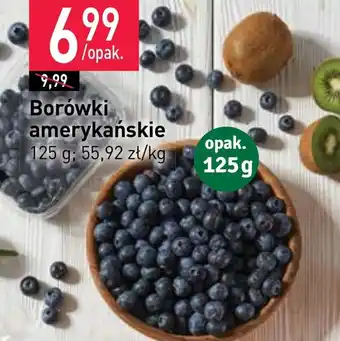 Stokrotka Borówki amerykańskie oferta