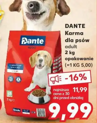 Kaufland DANTE Karma dla psów 2 kg oferta