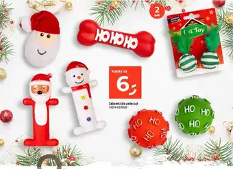 Dealz Zabawki dla zwierząt różne rodzaje oferta