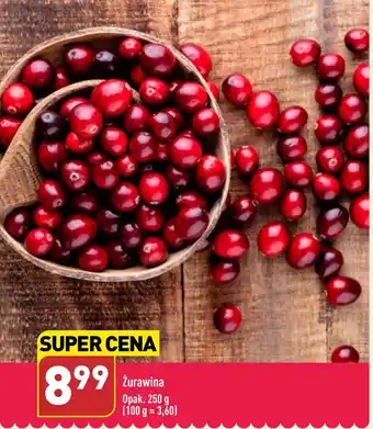 ALDI Żurawina Opak. 250 g oferta