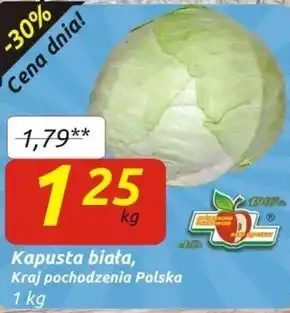Społem Kapusta biała oferta