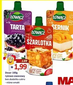 Hale Banacha Łowicz deser ryżowo-owocowy a'la szarlotka z cynamonem 100 g oferta