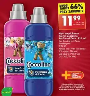 Biedronka Coccolino purple orchid & blueberries płyn do płukania koncentrat 925 ml (37 prań) oferta