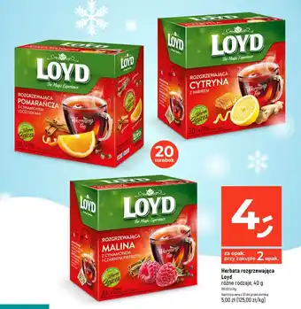 Dealz Herbata rozgrzewająca Loyd 40 g oferta