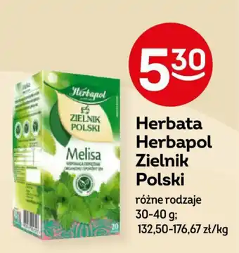 Żabka Herbata Herbapol Zielnik Polski 30-40 oferta
