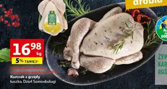 Auchan Kurczak z grzędy tuszka 1 kg oferta