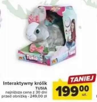 Interaktywny królik TUSIA