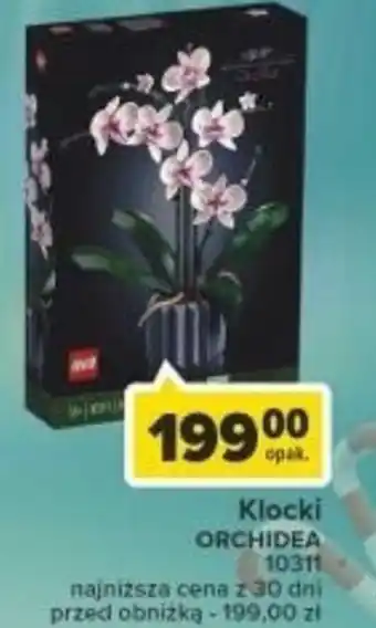 Carrefour Klocki ORCHIDEA oferta