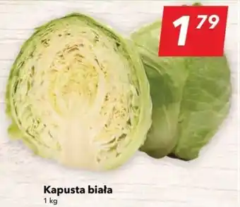 Lewiatan Kapusta biała 1 kg oferta