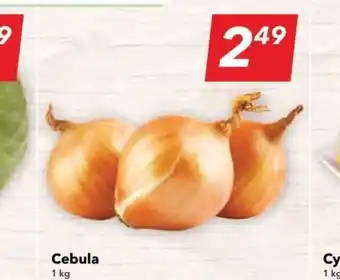 Lewiatan Cebula 1 kg oferta