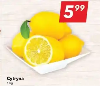 Lewiatan Cytryna 1 kg oferta