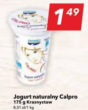 Lewiatan Krasnystaw Jogurt naturalny Calpro 175 g oferta
