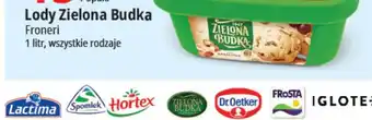 E.Leclerc Lody Zielona Budka Froneri 1l oferta
