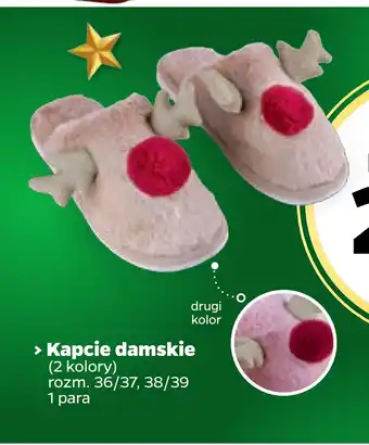 Netto Kapcie damskie oferta