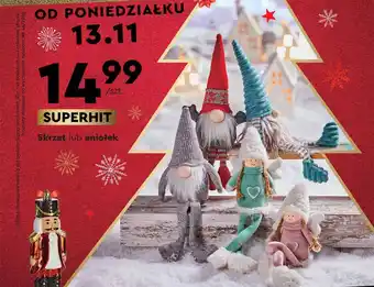 Biedronka Skrzat lub aniołek oferta