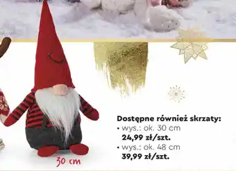 Biedronka Skrzat wys.: 30cm oferta