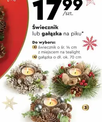 Biedronka Świecznik lub gałązka na piku oferta