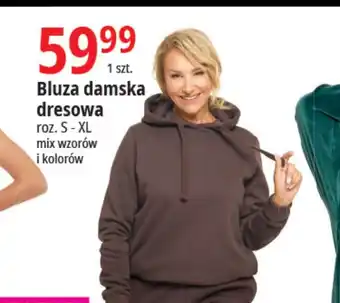 E.Leclerc Bluza damska dresowa oferta
