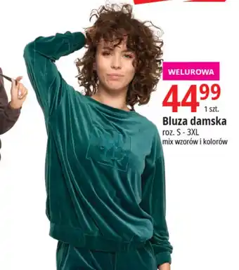 E.Leclerc Bluza damska oferta