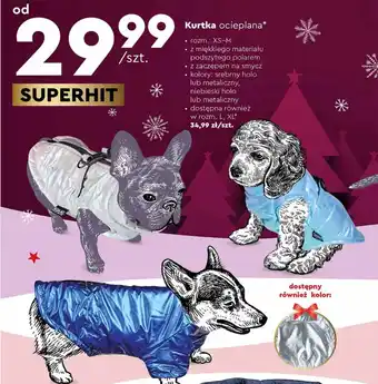 Biedronka Kurtka ocieplana rozm.: XS-M oferta