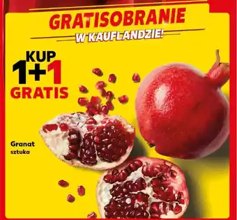 Kaufland Granat sztuka oferta