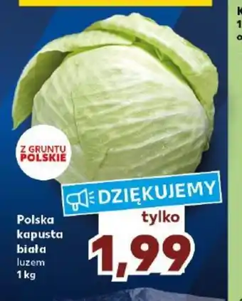 Kaufland Polska kapusta biała luzem 1 kg oferta