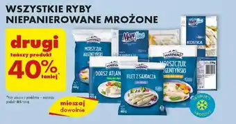 Biedronka WSZYSTKIE RYBY NIEPANIEROWANE oferta
