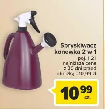 Carrefour Spryskiwacz konewka 2 w 1 oferta