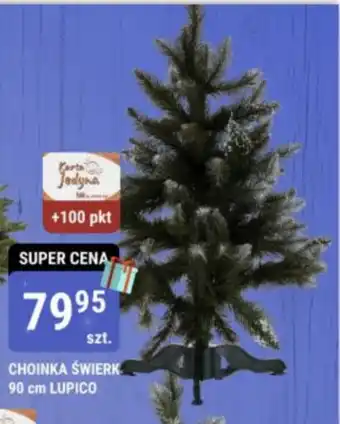 bi1 CHOINKA ŚWIERK 90 cm LUPICO oferta