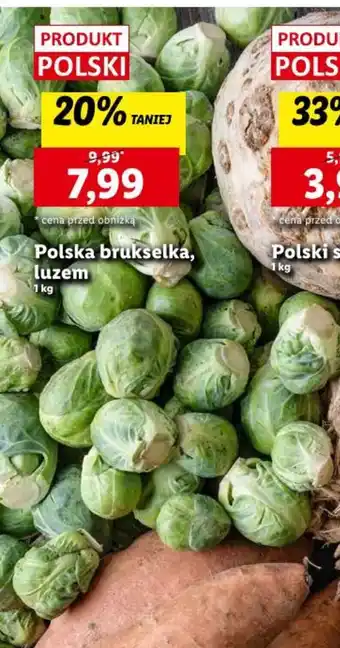 Lidl Polska brukselka, 1kg oferta