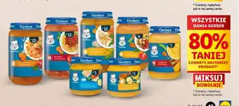 Lidl WSZYSTKIE DANIA GERBER oferta