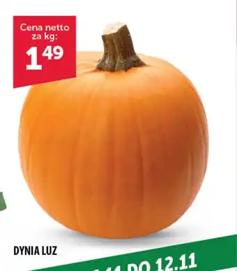 Eurocash DYNIA LUZ 1 kg oferta